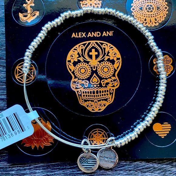Alex and Ani: Silver Rocker - Picture 2 of 3
